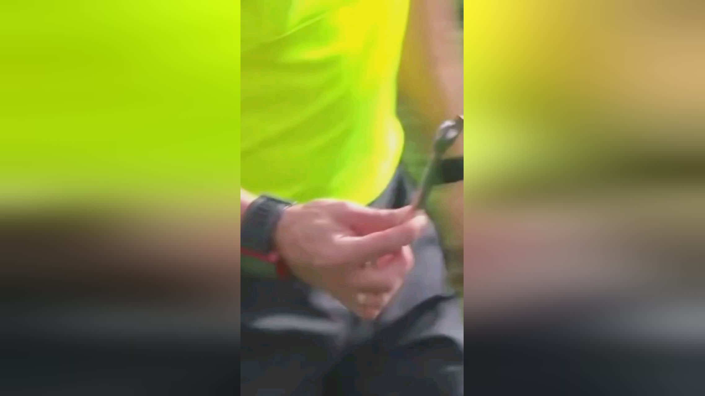 复是